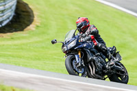 PJ-Motorsport-2019;anglesey;brands-hatch;cadwell-park;croft;donington-park;enduro-digital-images;event-digital-images;eventdigitalimages;mallory;no-limits;oulton-park;peter-wileman-photography;racing-digital-images;silverstone;snetterton;trackday-digital-images;trackday-photos;vmcc-banbury-run;welsh-2-day-enduro